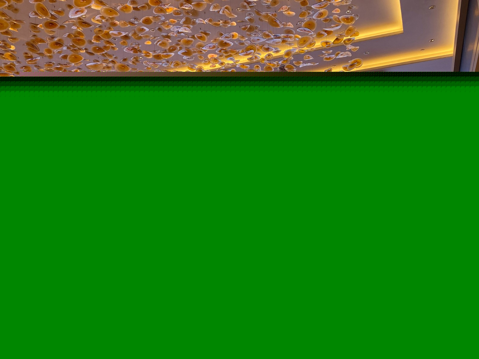 1658985748571590.jpg